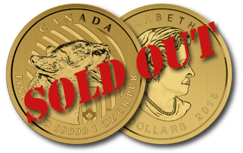 Canadian Gold Cougar (Sold Out!)