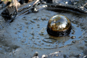14 12 15 oil bubble