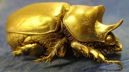 15 08 20 gold bug